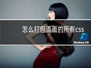 怎么打包页面的所有css