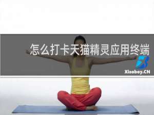 怎么打卡天猫精灵应用终端