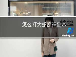 怎么打大蛇原神副本