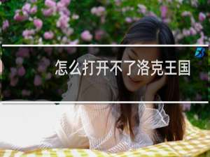 怎么打开不了洛克王国