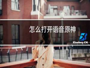 怎么打开语音原神