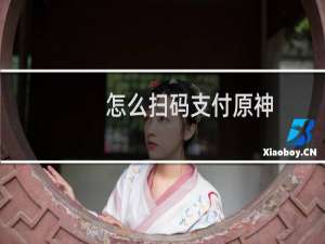 怎么扫码支付原神