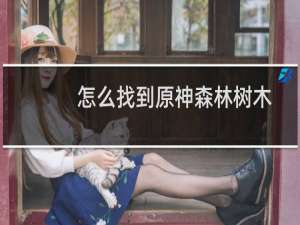怎么找到原神森林树木