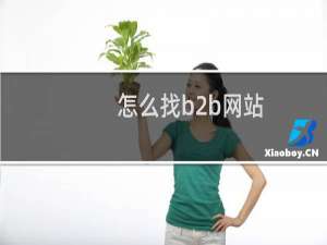 怎么找b2b网站