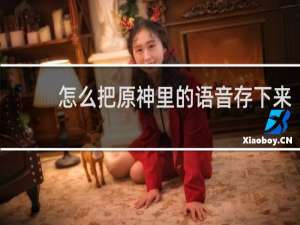怎么把原神里的语音存下来