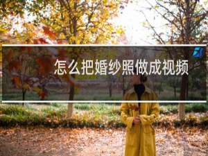 怎么把婚纱照做成视频
