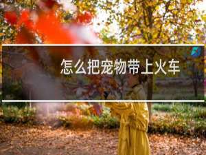 怎么把宠物带上火车