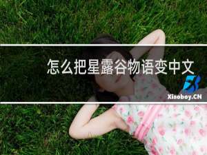 怎么把星露谷物语变中文