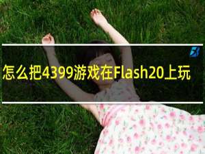 怎么把4399游戏在Flash 上玩