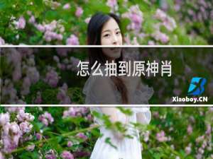 怎么抽到原神肖