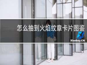 怎么抽到火焰纹章卡片图鉴