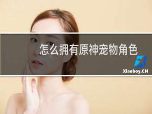 怎么拥有原神宠物角色