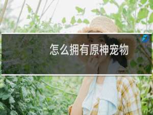 怎么拥有原神宠物