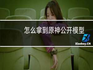 怎么拿到原神公开模型