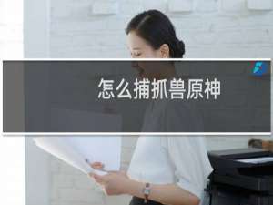 怎么捕抓兽原神