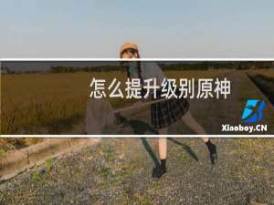 怎么提升级别原神