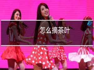 怎么摘茶叶