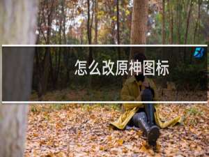 怎么改原神图标