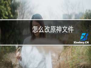 怎么改原神文件