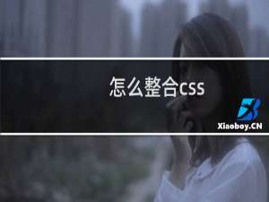 怎么整合css