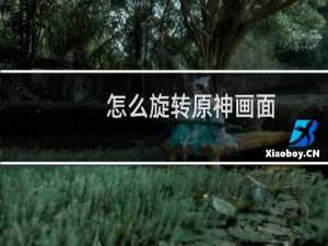 怎么旋转原神画面