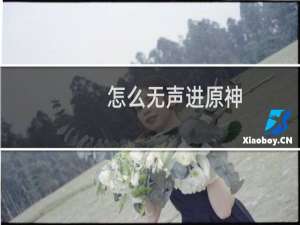 怎么无声进原神