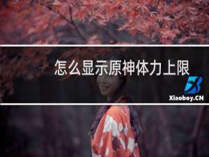 怎么显示原神体力上限