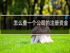 怎么查一个公司的注册资金