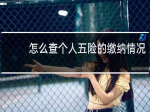 怎么查个人五险的缴纳情况