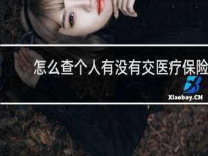 怎么查个人有没有交医疗保险