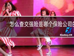 怎么查交强险是哪个保险公司的