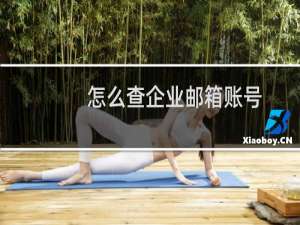 怎么查企业邮箱账号