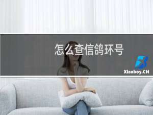 怎么查信鸽环号