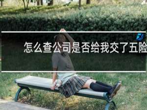 怎么查公司是否给我交了五险