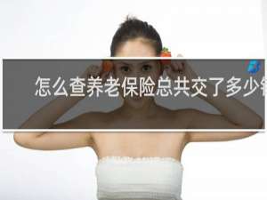 怎么查养老保险总共交了多少钱