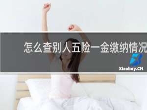 怎么查别人五险一金缴纳情况