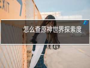怎么查原神世界探索度