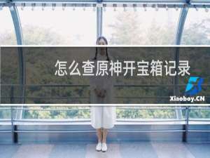怎么查原神开宝箱记录