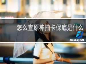 怎么查原神抽卡保底是什么