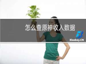 怎么查原神收入数据