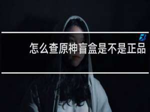 怎么查原神盲盒是不是正品