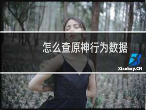 怎么查原神行为数据