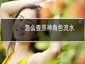 怎么查原神角色流水
