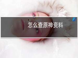 怎么查原神资料