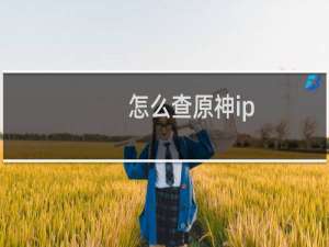 怎么查原神ip