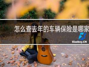 怎么查去年的车辆保险是哪家