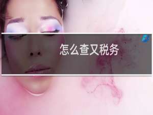 怎么查又税务