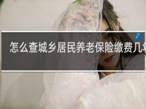 怎么查城乡居民养老保险缴费几年了