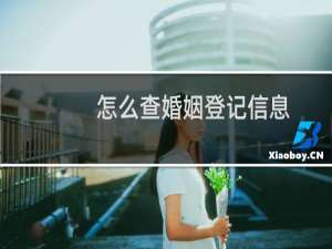 怎么查婚姻登记信息