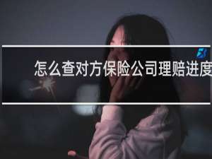 怎么查对方保险公司理赔进度